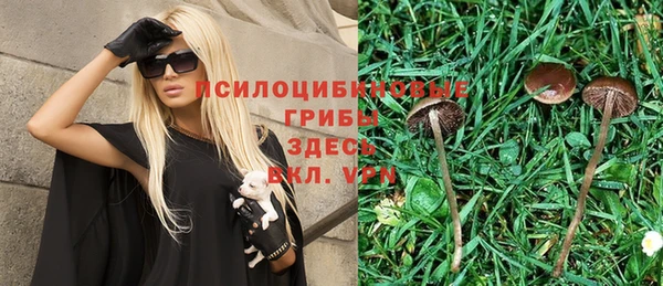 кокс Костерёво