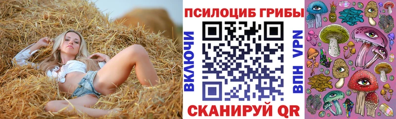 как найти закладки  Микунь  Псилоцибиновые грибы прущие грибы 